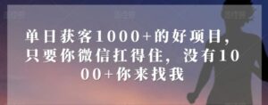 单日获客1000+的好项目，只要你微信扛得住，没有1000+你来找我【揭秘】-财仔梦想资源网