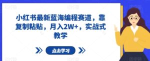 小红书最新蓝海编程赛道，靠复制粘贴，月入2W+，实战式教学【揭秘】-财仔梦想资源网