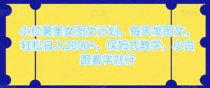 小红薯美女图文计划，每天发图文，轻松日入2000+，保姆式教学，小白跟着学就行-财仔梦想资源网