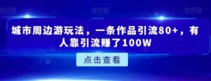 城市周边游玩法，一条作品引流80+，有人靠引流赚了100W【揭秘】-财仔梦想资源网