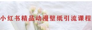 小红书精品动漫壁纸引流变现项目，一条龙变现玩法分享-财仔梦想资源网