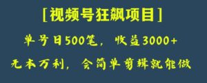日收款500笔，纯利润3000+，视频号狂飙项目！-财仔梦想资源网