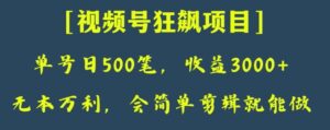 日收款500笔，纯利润3000+，视频号狂飙项目，会简单剪辑就能做【揭秘】-财仔梦想资源网