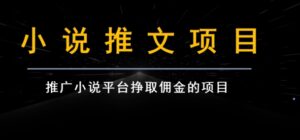 小说推文项目变现，手把手教你快速生成一篇小说推文-财仔梦想资源网
