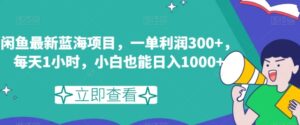 闲鱼最新蓝海项目，一单利润300+，每天1小时，小白也能日入1000+【揭秘】-财仔梦想资源网