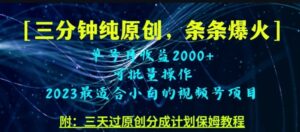 三分钟制作视频号纯原创，条条爆款，轻松月入过万【揭秘】-财仔梦想资源网