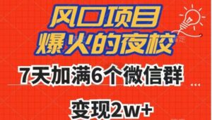 全网首发，爆火的夜校，7天加满6个微信群，变现2w+【揭秘】-财仔梦想资源网