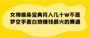 女神瘦身宝典月入几十W不是梦空手套白狼赚钱最火的赛道【揭秘】-财仔梦想资源网