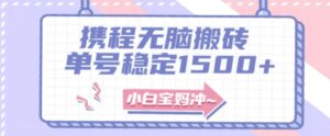无门槛搬砖项目玩法，无脑搬运复制单号月入1500+，矩阵操作收益更高-财仔梦想资源网