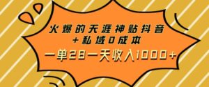 火爆的天涯神贴抖音+私域0成本一单28一天收入1000+-财仔梦想资源网