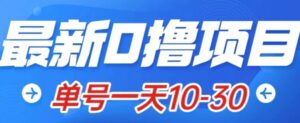 最新0撸小项目：星际公民，单账号一天10-30，可批量操作-财仔梦想资源网