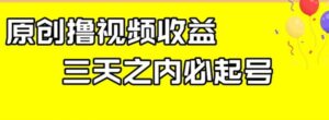 最新撸视频收益，三天之内必起号，一天保底100+【揭秘】-财仔梦想资源网