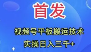 全网首发：视频号平板搬运技术，实操日入三千＋-财仔梦想资源网