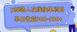 p掉路人项目日入300-500在线接单外面收费1980【揭秘】-财仔梦想资源网
