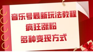 音乐号最新玩法教程，疯狂涨粉，多种拓展变现方式-财仔梦想资源网