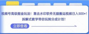 视频号高级掘金玩法，靠去水印软件无脑搬运视频日入500+，拆解式教学带你玩转分成计划【揭秘】-财仔梦想资源网