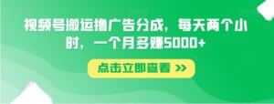 视频号搬运撸广告分成，每天两个小时，一个月多赚5000+-财仔梦想资源网