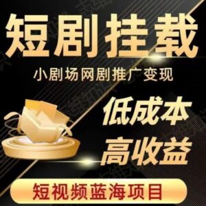 2023短视频蓝海项目，抖音快手短剧推广变现教程，低成本高收益-财仔梦想资源网