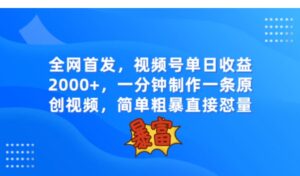 全网首发，视频号单日收益2000+，一分钟制作一条原创视频，简单粗暴-财仔梦想资源网