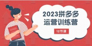 2023拼多多运营训练营：流量底层逻辑，免费+付费流量玩法-财仔梦想资源网