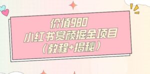 价值980小红书赏颜掘金项目-财仔梦想资源网