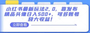 小红书最新玩法2.0，靠发布精品头像日入500+，可多账号放大收益！【揭秘】-财仔梦想资源网