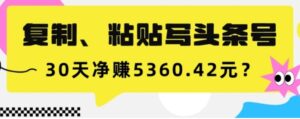 复制、粘贴写头条号，10分钟1篇，30天净赚5360.42元？-财仔梦想资源网