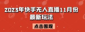 2023年快手无人直播11月份最新玩法-财仔梦想资源网
