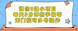 微信0撸小项目，每天5分钟新手破零，无门槛可多号操作-财仔梦想资源网
