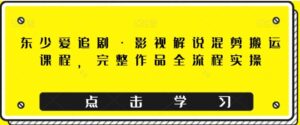 东少爱追剧·影视解说混剪搬运课程，完整作品全流程实操-财仔梦想资源网