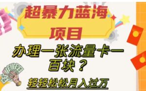 超暴力蓝海项目，办理一张流量卡一百块？轻轻松松月入过万，保姆级教程【揭秘】-财仔梦想资源网