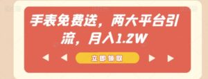 手表免费送，两大平台引流，月入1.2W【揭秘】-财仔梦想资源网