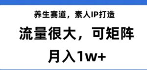 养生赛道，素人IP打造，流量很大，可矩阵，月入1w+【揭秘】-财仔梦想资源网