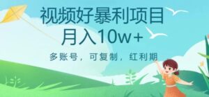 视频号暴利项目，多账号，可复制，红利期，月入10w+【揭秘】-财仔梦想资源网