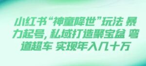 小红书“神童降世”玩法暴力起号,私域打造聚宝盆弯道超车实现年入几十万-财仔梦想资源网