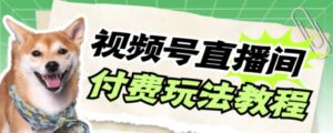 视频号美女付费无人直播，轻松日入500+【详细玩法教程】-财仔梦想资源网