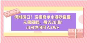 假期风口！玩梗高手小游戏直播，无需露脸，每天2小时，小白也可月入2W+-财仔梦想资源网