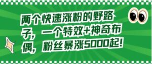 两个快速涨粉的野路子，一个特效+神奇布偶，粉丝暴涨5000起【揭秘】-财仔梦想资源网