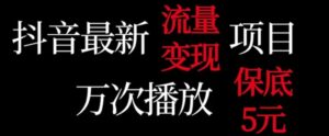 抖音流量变现，万次播放保底5元，额外收入-财仔梦想资源网