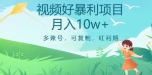 外边收费699项目，视频号暴利项目，多账号可复制，红利期-财仔梦想资源网
