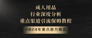 2024年重点潜力赛道，成人用品行业深度分析，重点渠道引流保姆教程【揭秘】-财仔梦想资源网