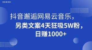 抖音邂逅网易云音乐，另类文案4天狂吸5W粉，日赚1000+【揭秘】-财仔梦想资源网