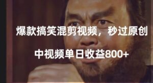 爆款搞笑混剪视频，百分百过原创，单日中视频播放收益800+【揭秘】-财仔梦想资源网