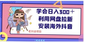 学会日入300＋，利用网盘拉新安装海外抖音保姆级教学【揭秘】-财仔梦想资源网