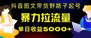 抖音图文带货暴力起号，单日收益5000+，野路子玩法，简单易上手，一部手机即可【揭秘】-财仔梦想资源网