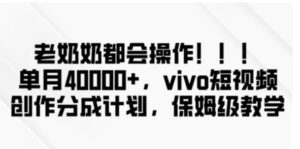 老奶奶都会操作，新平台无脑操作，单月40000+，vivo短视频创作分成计划【揭秘】-财仔梦想资源网