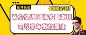 高价快递回收多重变现玩法，不需要推广，完全靠自己多劳多得-财仔梦想资源网