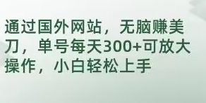 通过国外网站，无脑赚美刀，单号每天300+可放大操作，小白轻松上手【揭秘】-财仔梦想资源网