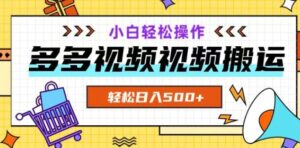 多多视频项目新手小白操作，轻松日入500+【揭秘】-财仔梦想资源网