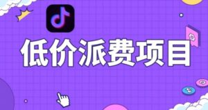 抖音低价派单项目，0门槛，日入1000+很轻松，小白可操作【揭秘】-财仔梦想资源网